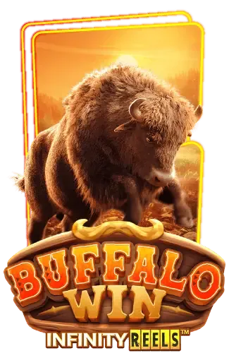 buffalo-win -รวยชัวร์99